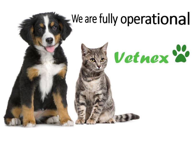 Vetnex Remains Open to Serve Our Customers During COVID-19 Time